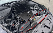 Load image into Gallery viewer, User 1