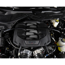 Load image into Gallery viewer, User 1