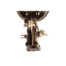 Load image into Gallery viewer, Photo - out of package