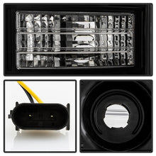 Load image into Gallery viewer, Photo - Unmounted