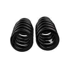 Load image into Gallery viewer, Photo - Close Up