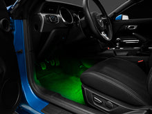 Load image into Gallery viewer, Photo - Close Up