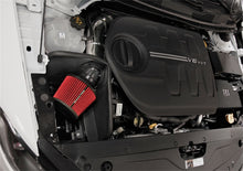 Load image into Gallery viewer, Photo - Mounted