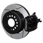 Wilwood kit rear FFR cpb 8.8 12.19X.81 GT W/LINES