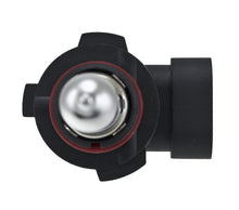 Load image into Gallery viewer, Photo - Close Up