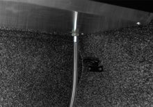 Load image into Gallery viewer, Photo - Close Up