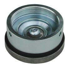 Load image into Gallery viewer, Photo - Primary