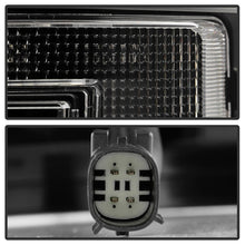 Load image into Gallery viewer, Photo - Unmounted