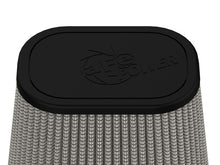 Load image into Gallery viewer, Photo - Close Up