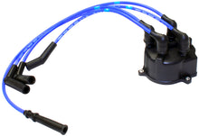 Load image into Gallery viewer, Photo - Primary