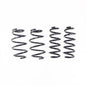 RS-R 93-02 Toyota Supra (JZA80) Ti2000 Down Springs