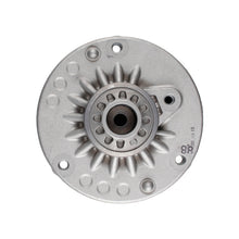 Load image into Gallery viewer, Photo - Primary