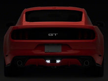 Load image into Gallery viewer, Photo - Close Up