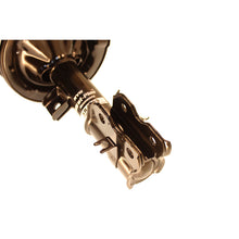 Load image into Gallery viewer, Photo - out of package