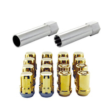 Load image into Gallery viewer, Photo - Primary