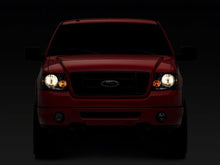 Load image into Gallery viewer, Photo - Close Up