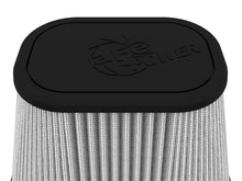 Load image into Gallery viewer, Photo - Close Up