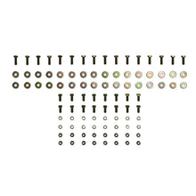 Load image into Gallery viewer, Photo - Close Up