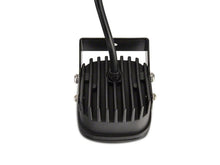 Load image into Gallery viewer, Photo - Close Up