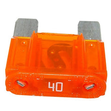 Load image into Gallery viewer, Photo - Primary