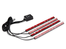 Load image into Gallery viewer, Photo - Close Up