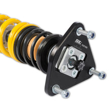 Load image into Gallery viewer, User 5