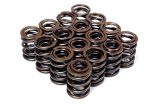 Load image into Gallery viewer, BLOX Racing Valve Springs for D-series SOHC VTEC D16Z-Y (1.6L SOHC VTEC)