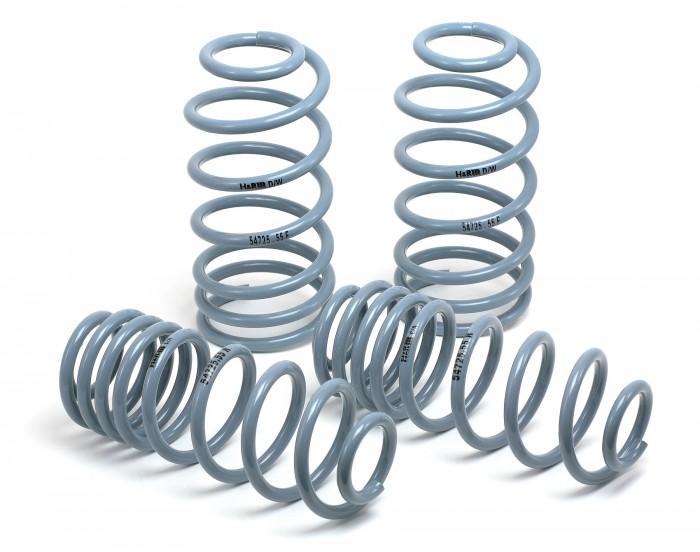 H&R 06-11 Volkswagen Passat 4Motion Sedan OE Sport Spring
