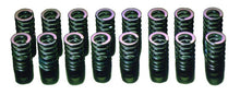 Load image into Gallery viewer, HKS 03-06 Lancer Evolution / 89-99 Eclipse / 90-93 Galant Turbo / 89-98 Eagle Talon Turbo Valve Spri