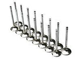 Brian Crower Dodge SRT-4/Neon - Single Groove 29.5mm Exhaust Valves