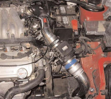 Load image into Gallery viewer, Photo - Primary