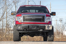Load image into Gallery viewer, Mesh Grille | 30" Dual Row LED | Black | White DRL | Ford F-150 (09-14)