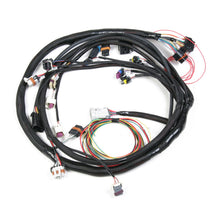Load image into Gallery viewer, largemainharness558_104.jpg