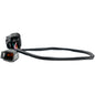 Link Engine Management LS DBW Adapter Loom