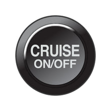 Load image into Gallery viewer, Link Engine Management CAN Keypad Insert - Cruise On/Off