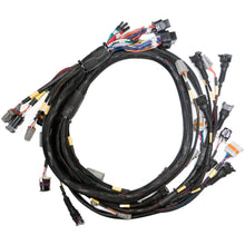 Load image into Gallery viewer, Link Engine Management Replacement Base Harness GM LS GEN3/4