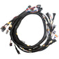 Link Engine Management Replacement Base Harness GM LS GEN3/4