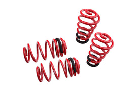 Lowering Springs – Euro-Version for Audi A4 02-05 FWD