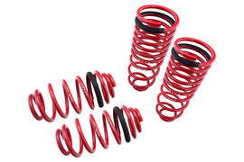 Lowering Springs – Euro-Version for Audi A4 96-01 FWD