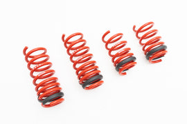 Lowering Springs – Audi R8 17+ V10 Only
