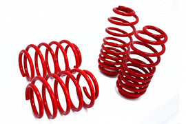 Lowering Springs – Euro-Version for Audi TT 08-14