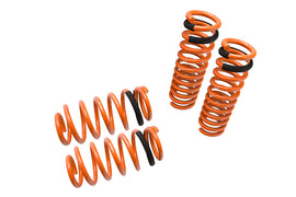 Lowering Springs – Dodge Charger 06-10