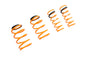 Lowering Springs – Ford Focus 05-11