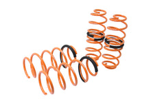 Load image into Gallery viewer, Lowering Springs – Ford Fiesta 11-16