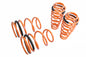 Lowering Springs – Ford Mustang 05-14