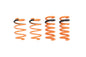 Lowering Springs – Ford Mustang 15-23 / 2024+ (W/ Magneride)