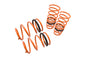 Lowering Springs – Hyundai Accent 06-10