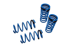 Lowering Springs – Lexus GS 300 / GS 350 / GS 460 RWD Only 06-12