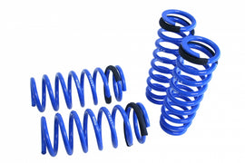Lowering Springs – Lexus GS 350 13-20 (RWD Only)