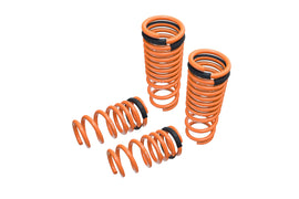Lowering Springs – Nissan GT-R (R35) 09-18